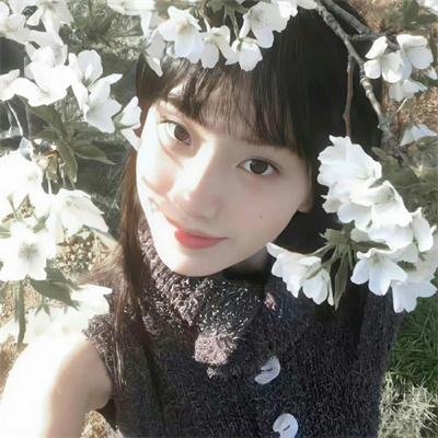 狮子王们的夏天